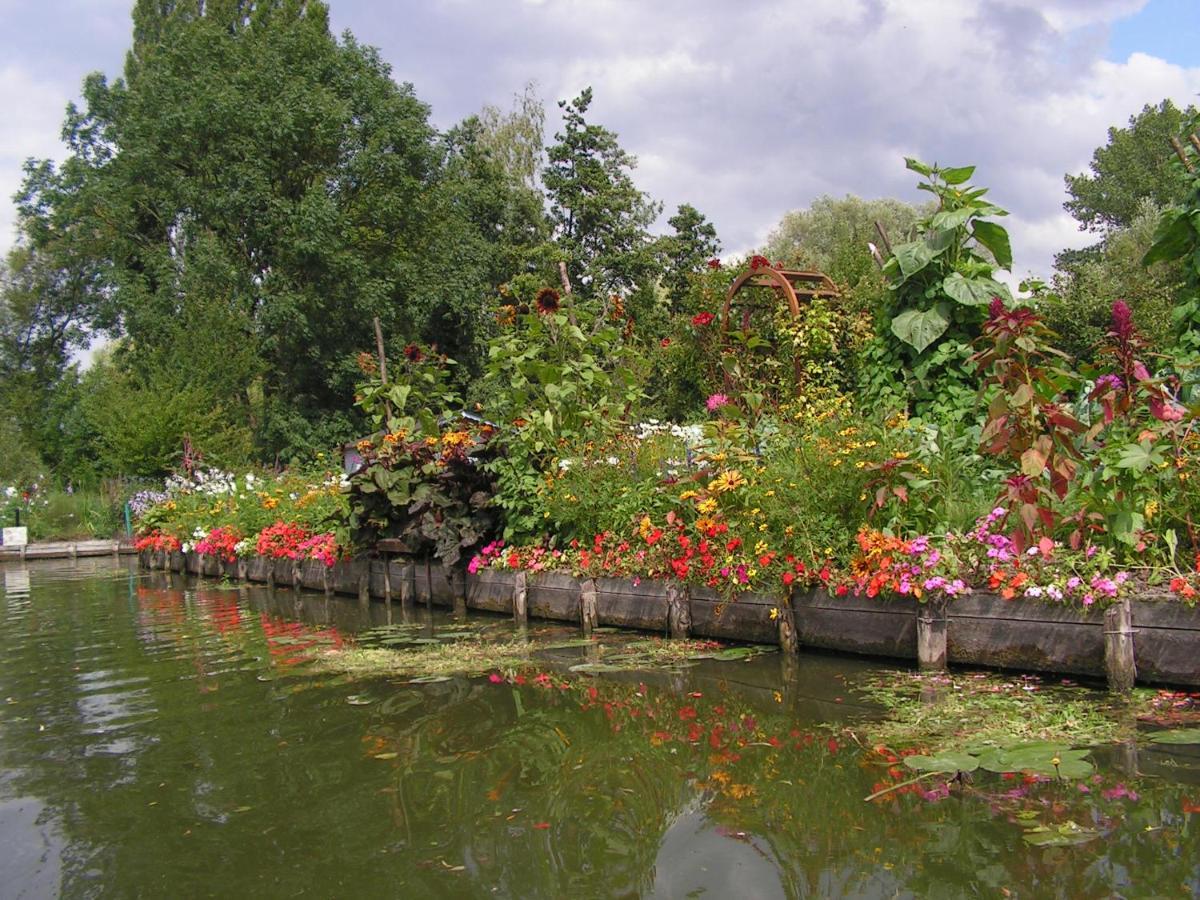 Les Hortillonnages_b&b Inn_centre Ville_terrasse_wifi_netflix Amiens