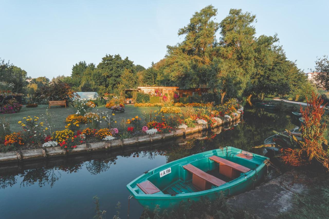 Les Hortillonnages_b&b Inn_centre Ville_terrasse_wifi_netflix